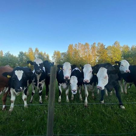 Mysig Stuga Naera Aestad Vingard & Spa Luaran gambar